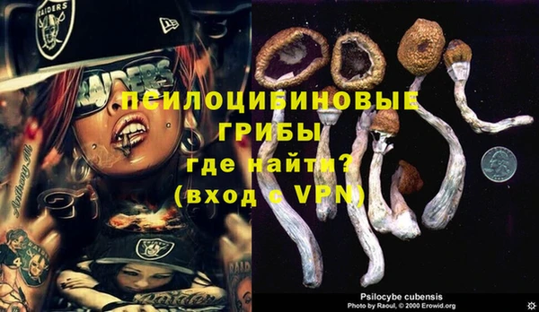 прущий лед Вязники
