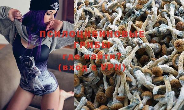 прущий лед Вязники