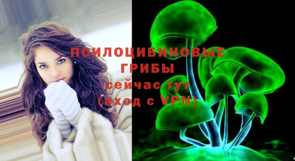 а пвп мука Вяземский